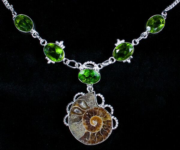 Fossil Ammonite Necklace #3585